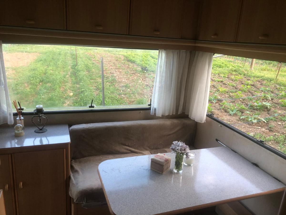 ホテル La Ferme De Rotani アレリア エクステリア 写真